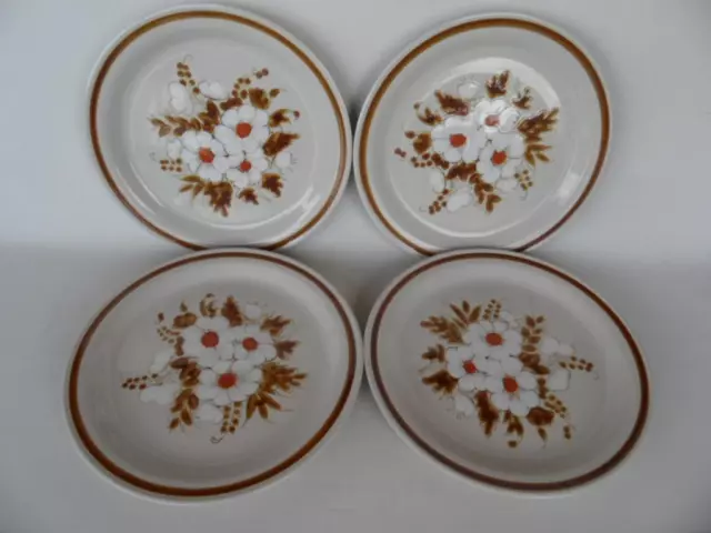 Vintage Retro set 4 Mountain Wood Stoneware Dried Flowers Dinner Plates Japan