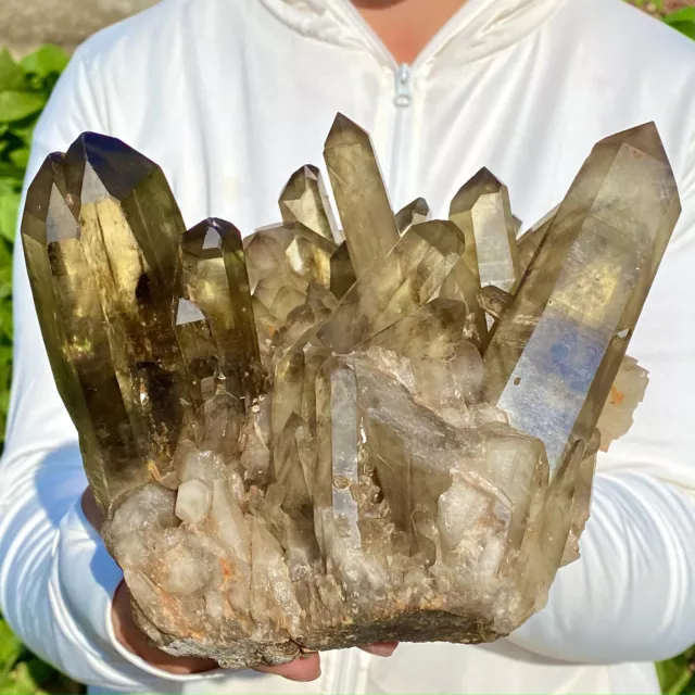 5.6LB Natural Citrine cluster mineral specimen quartz crystal healing