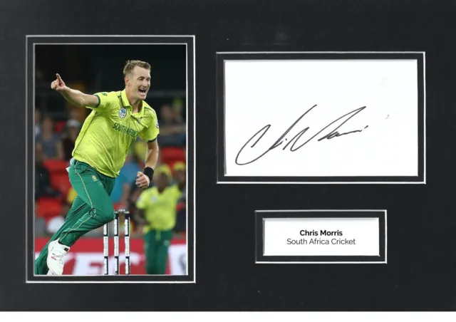 Chris Morris Hand Signed 12x8 Photo Display South Africa Autograph COA
