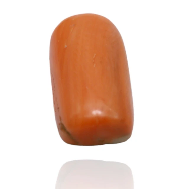9.80 Cts 100% Corail De Taiwan Naturel Belle Cabochon Pierres Gemmes En...