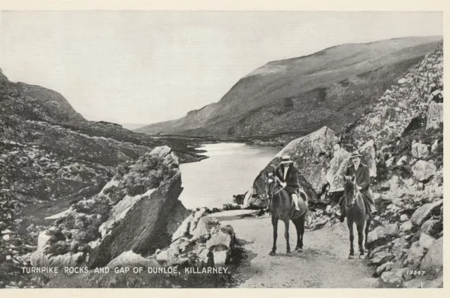 a irish kerry county eire old killarney postcard ireland horse