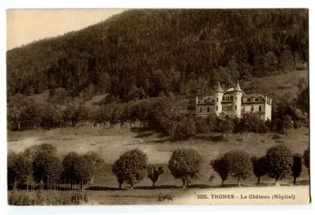 CPA 74 Haute-Savoie Thones Le Château (Hospital)
