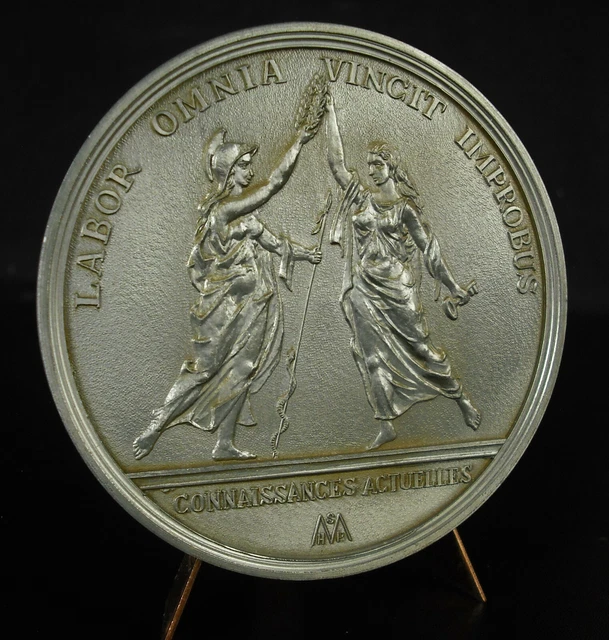 ITALIE MÉDAILLE BRONZE Interalliée de la victoire 1918 EUR 22,00
