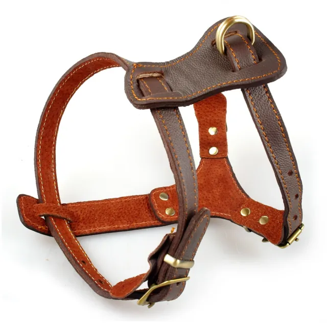 Brown Genuine Leather Dog Harness No Pull Heavy Duty Adjustable French Bulldog