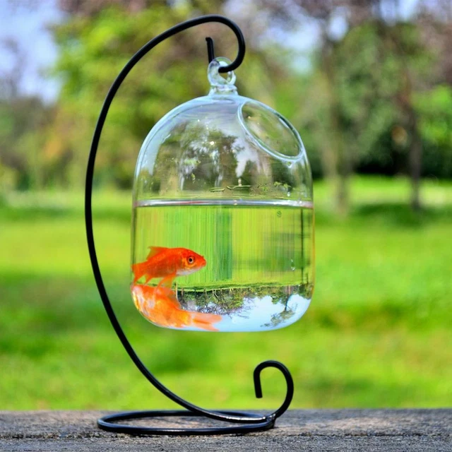 Decorations Hanging Mini Fish Tank With Stand Glass Vase Fish Tank Transparent