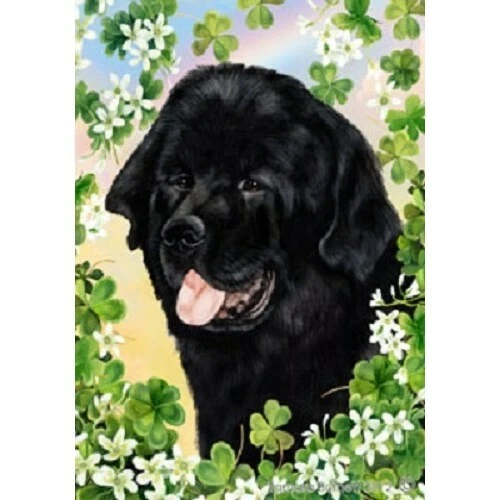 Clover House Flag - Newfoundland 31079