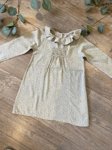 NEXT girls floral frill neck long sleeve  Autumn shift style dress age 3-4 yrs