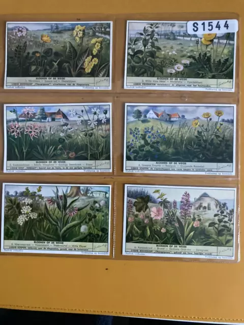 trade cards Liebig wayside flowers S1544 full set 1952