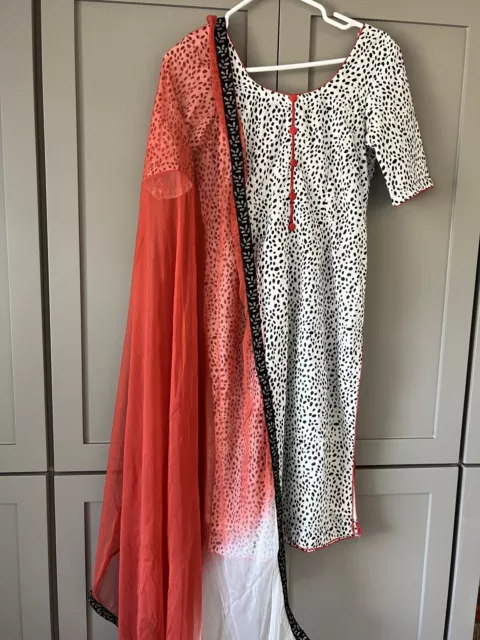 Punjabi/Indian/ Pakistani Salwar Kameez, Lehenga Choli, Pant Suit, Anarkali