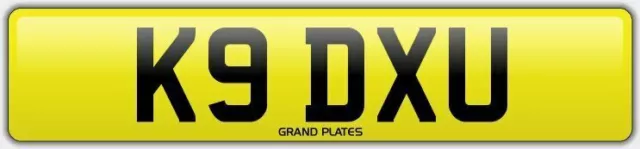 K9 DOG PUPPY HOUND Number plate K9 DXU NO ADDED FEES DOGGY CHERISHED REG LOVE U