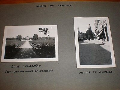 Photos Nuits-Saint-Georges & Clos Langres  France c1949