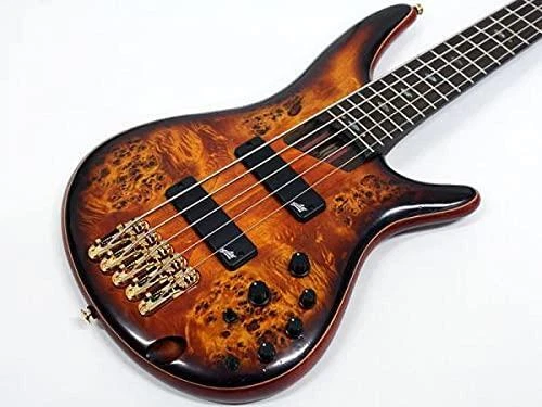 Ibanez Luxe Series 5 Corde Électrique Basse SR1605DW-DEL Avec Housse 2