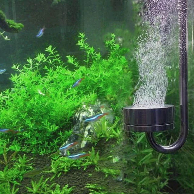 EASY TO USE Fish Tank CO2 Diffuser Aquatic plant growth £10.09 ...