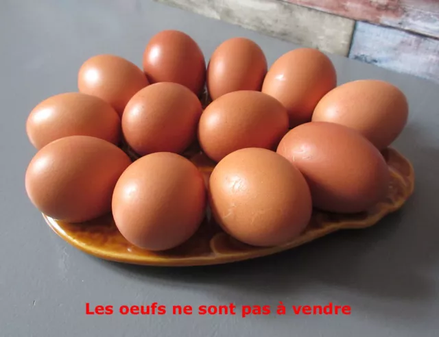 Présentoir ancien pour 12 œufs en faïence  .Objet vintage France French .cuisine 3