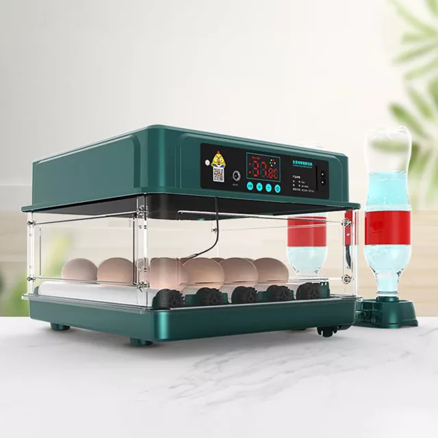 NEW Digital 12 Eggs Incubator Humidity Control Automatic Turning Chicken Hatcher