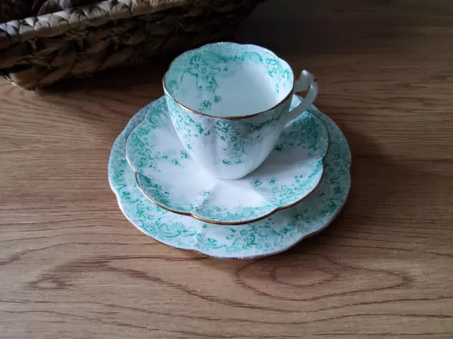 WILEMAN & Co FOLEY Pre SHELLEY Tea Trio. Shape LILY Print FERN. Rd276279 - 5894