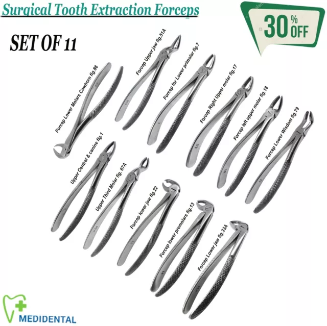 Set für Zahn Extraktionszange Erwachsene Chirurgische Instrumente Zahnheilkunde