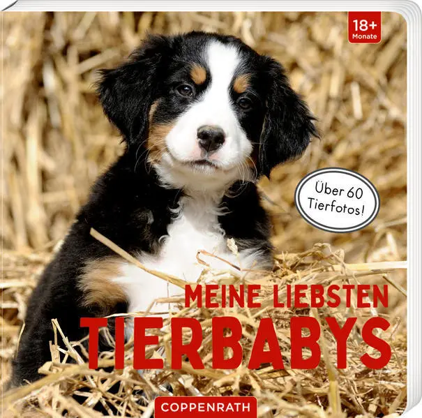 Meine liebsten Tierbabys | 2022 | deutsch