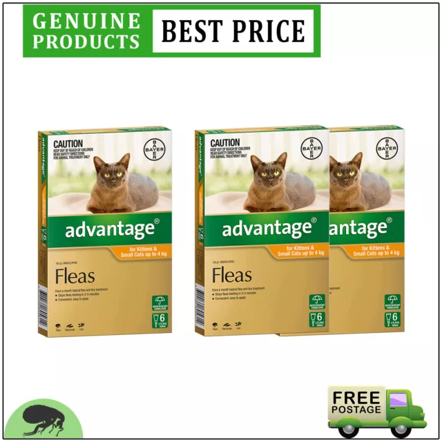 ADVANTAGE 6, 12 Doses Flea Treatment for Cats Upto 4 Kg ORANGE FREE Shipping