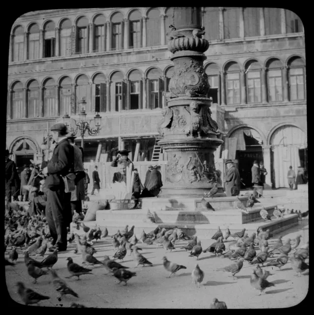 ANTIQUE Magic Lantern Slide PIGEONS AROUND COLUMN IN VENICE C1900 PHOTO ITALY