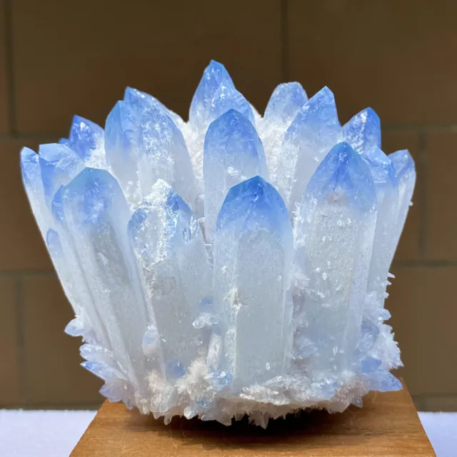 664G New Find Blue Phantom Quartz Crystal Cluster Mineral Specimen Healin
