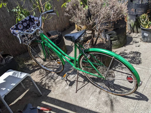 1974 Green Schwinn Suburban Ladies Bike (small frame, rider size 5'3"-5'7")