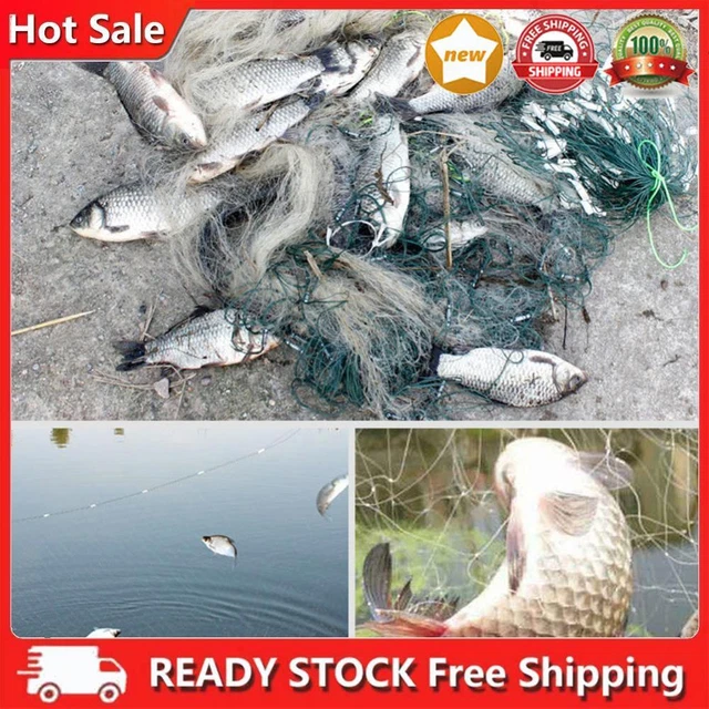 Rete PVA Solubile In Acqua Per Pesca Alla Carpa – Resistente, Leggera E Ideale Per Esca Mirata