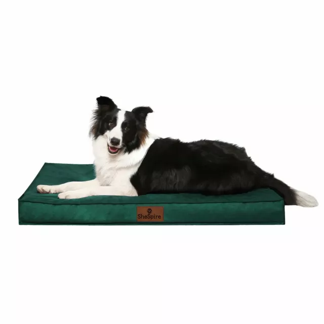 Green Orthopedic Foam X-Large Dog Bed Pet Mat w/ Removable Oxford Washable Cover