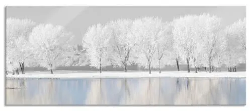 Cubierta de Nieve Árboles An Una Lago Panorama Imagen, Incl. Soporte Pared