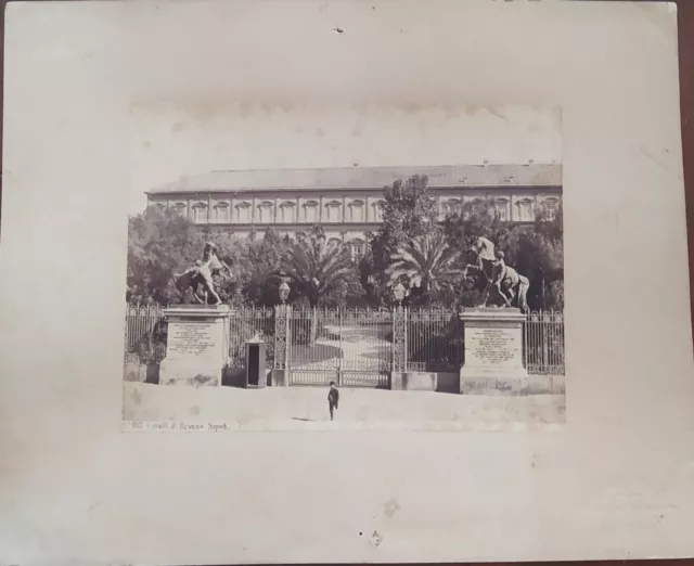 G. Sommer - Cavalli di Bronzo - Napoli - foto albumina 23x18,5 N.1117, ca 1870