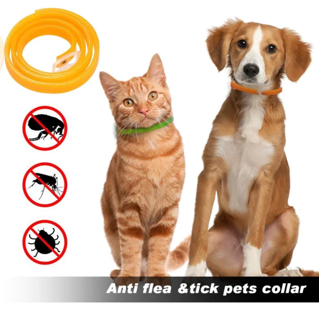 Anti Repel Tick flea tick Dog Cat pet collar Protection Against Also for People