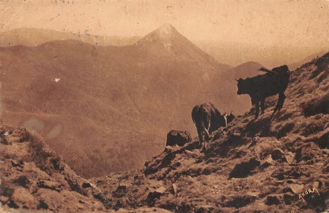 Le PUY-GRIOU seen from the FLANKS DU PUY-MARY (Cantal)