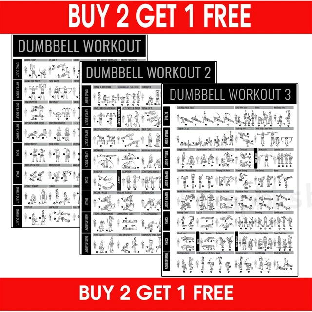 DUMBBELL GYM WORKOUT Exercise Chart POSTER Poster Wall PRINT | A5 A4 A3 ...