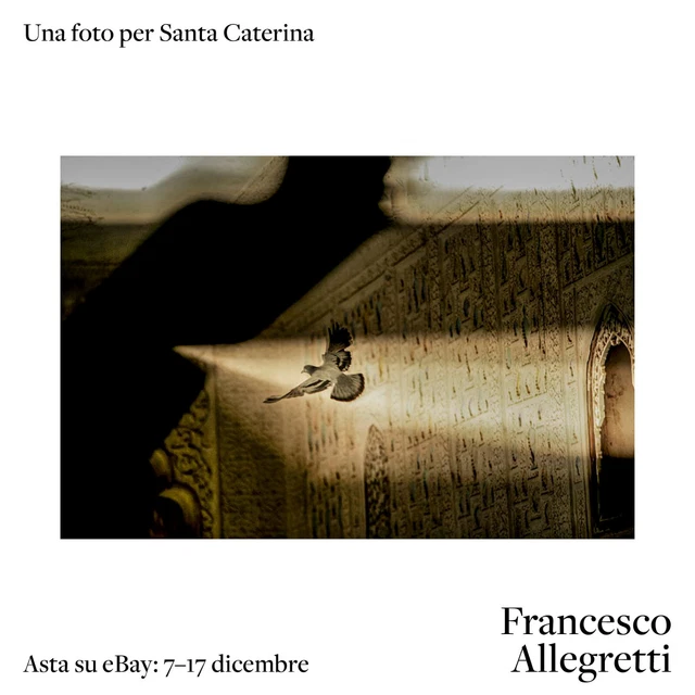 Mille e una pace, F. ALLEGRETTI per S. Caterina