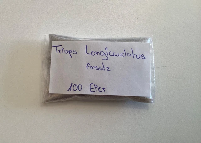 100 Triops Eier Ansatz Triops Longicaudatus Zuchtansatz Urzeitkrebse