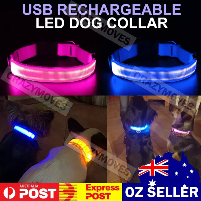 USB Rechargeable LED Dog Collar Nylon Glow Flashing Light Up Safety Collar VIC
