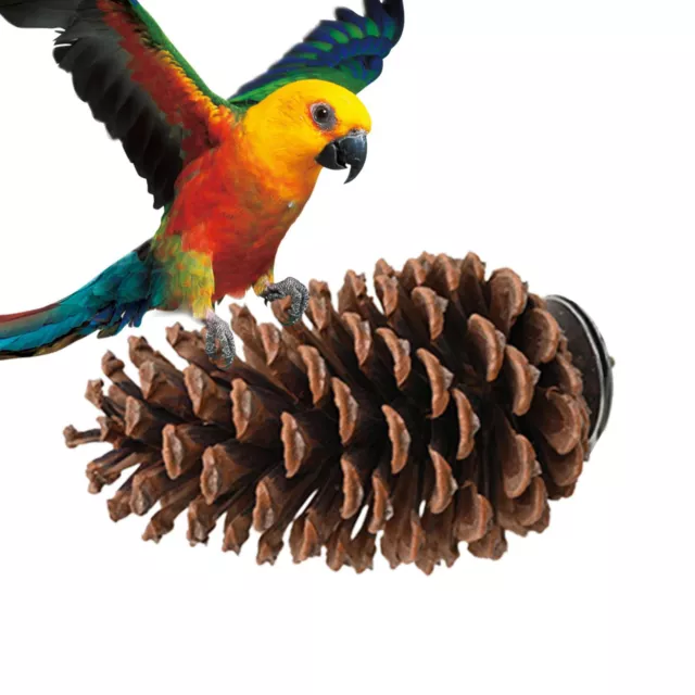 Pinecone Bird Perch Stand Bird Cage Perch Toy For Budgie, Finch, Parrot