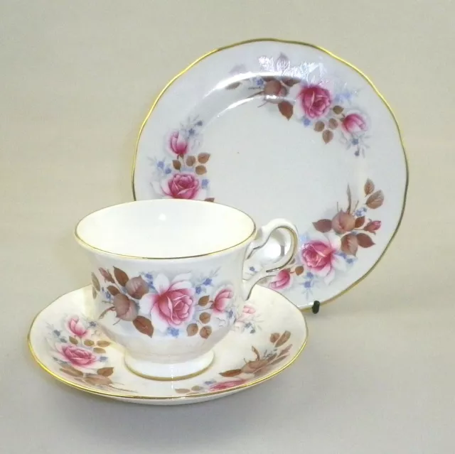 Vintage Queen Anne China Trio Pattern No 8521