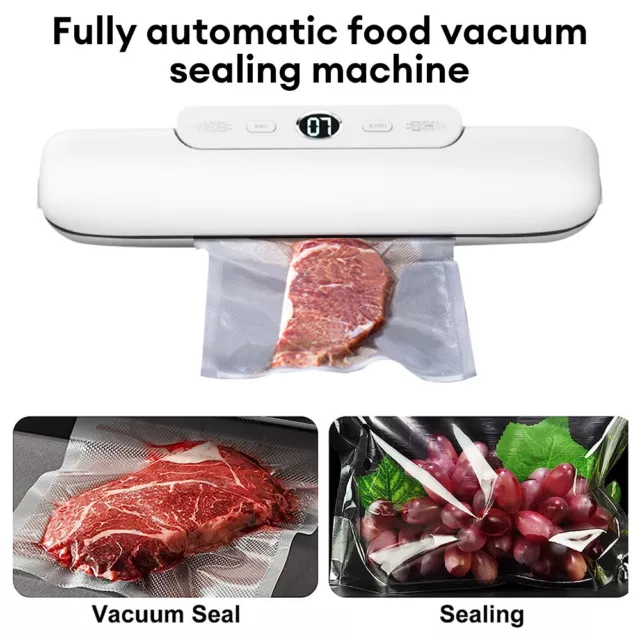 Vacuum Sealer Food Sealer Machine, Automatic Food Vacuum Sealer with C –  Penny Hive