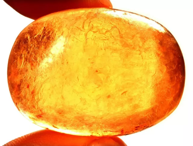 44.05 CTS. NATURAL Genuine Old Baltic Amber Untreated Certified ...