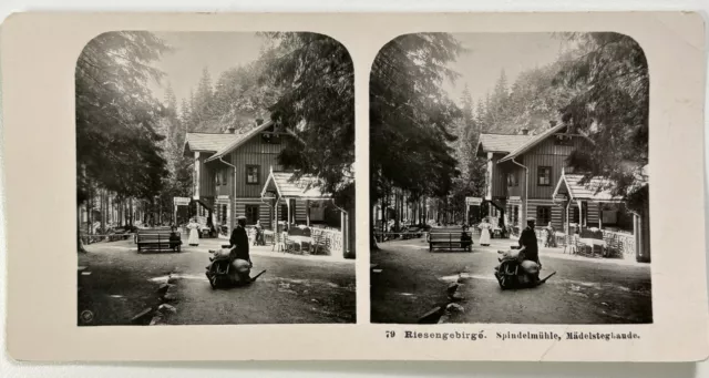 Pologne Tchéquie Monts des Géants Montagne c1905 Photo Stereo Vintage P83L9n2