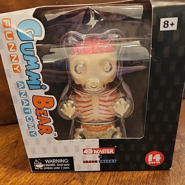 4D MASTER GUMMI BEAR Funny Anatomy FIGURE Jason Freeny Gummy Skeleton