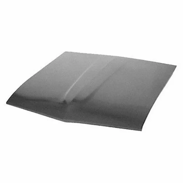 New Goodmark Hood Panel Fits Ford Mustang Except Shelby & Boss 429 GMK3022200691