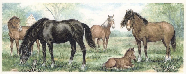 Calcomanía de cerámica tobogán negro marrón caballo 1 pieza 8-1/4"" X 3-1/4"" Bx