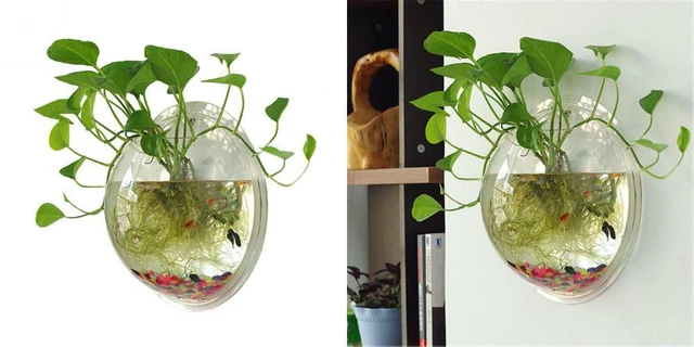 Sweetsea Hanging Wall Mounted Fish Bowl Aquaponic Tank Aquariums Plant...