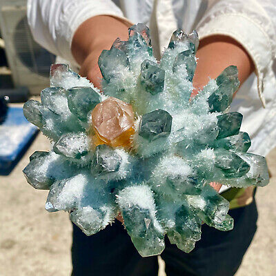 996G New Find Green Phantom Quartz Crystal Cluster Mineral Specimen Healing