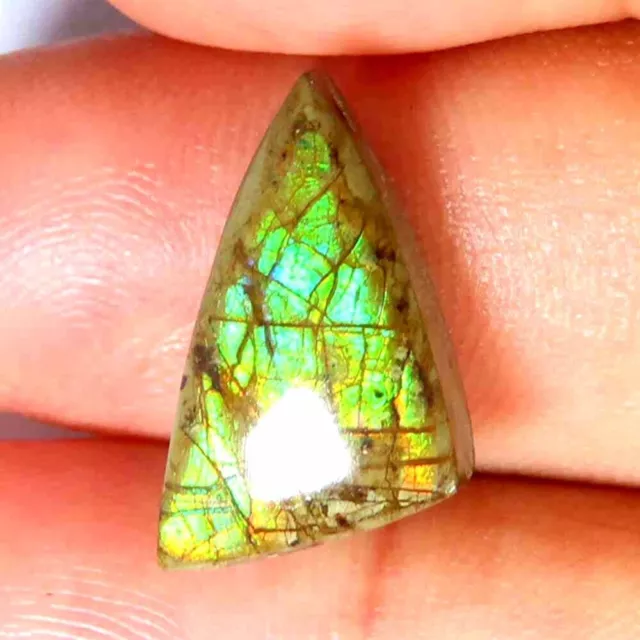 6,40 Karat, 100 % natürliches grünes Feuer Ammolite ausgefallener Cabochon...