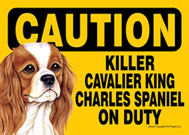 Asesino Cavalier King Charles Encendido Deber Perro Signo Imán Insignia Cierre
