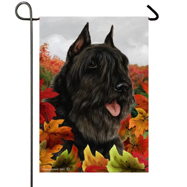 Fall Garden Flag (TB) - Black Bouvier des Flandres 130331