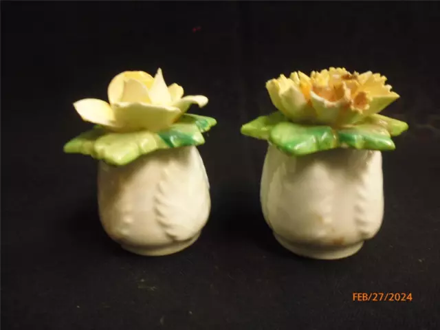 Collectable Adorable Porcelain Salt & Pepper Shakers Flowers
